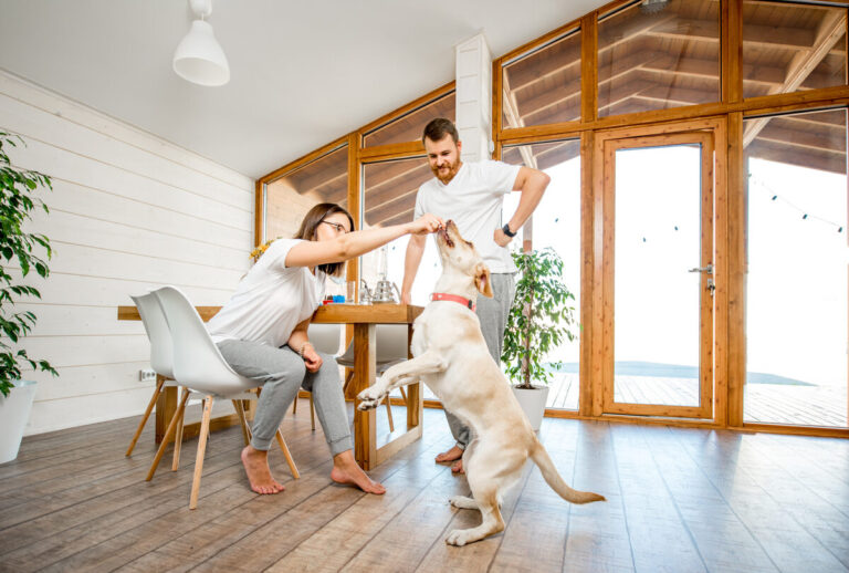 Pelican Pointe neighborhood